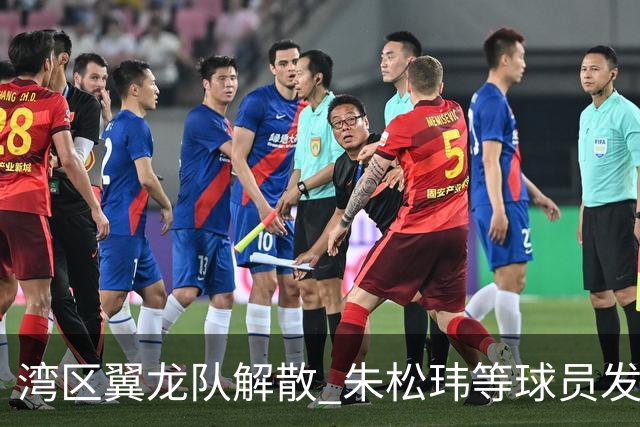 湾区翼龙队解散 朱松玮等球员发布声明维权